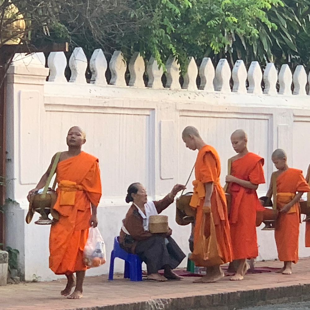 Buddhist monks in saffron robes collecting morning alms offerings