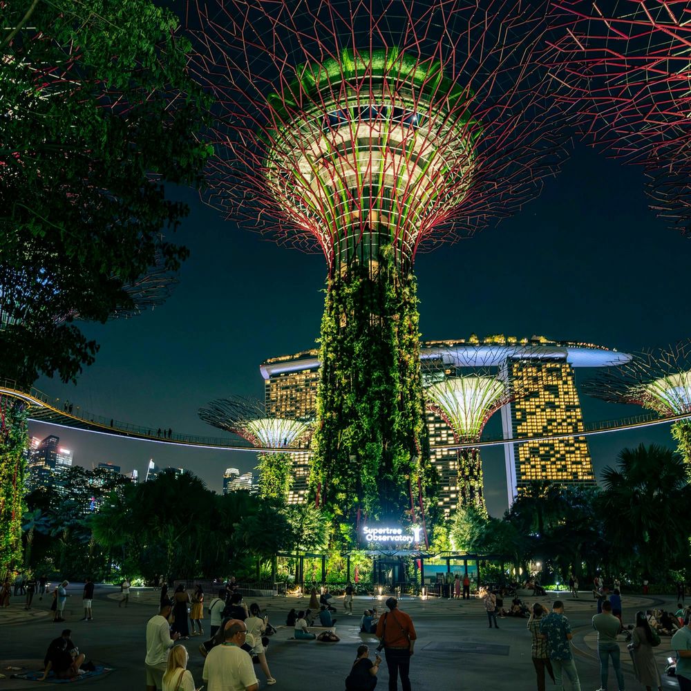 Illuminated Supertrees lighting up Gardens by the Bay at night