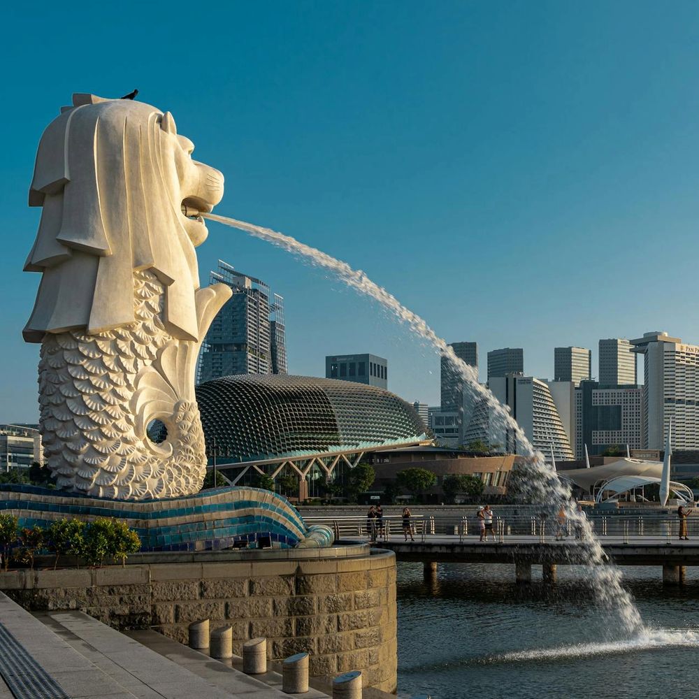The Merlion statue spouting water with the city skyline behind