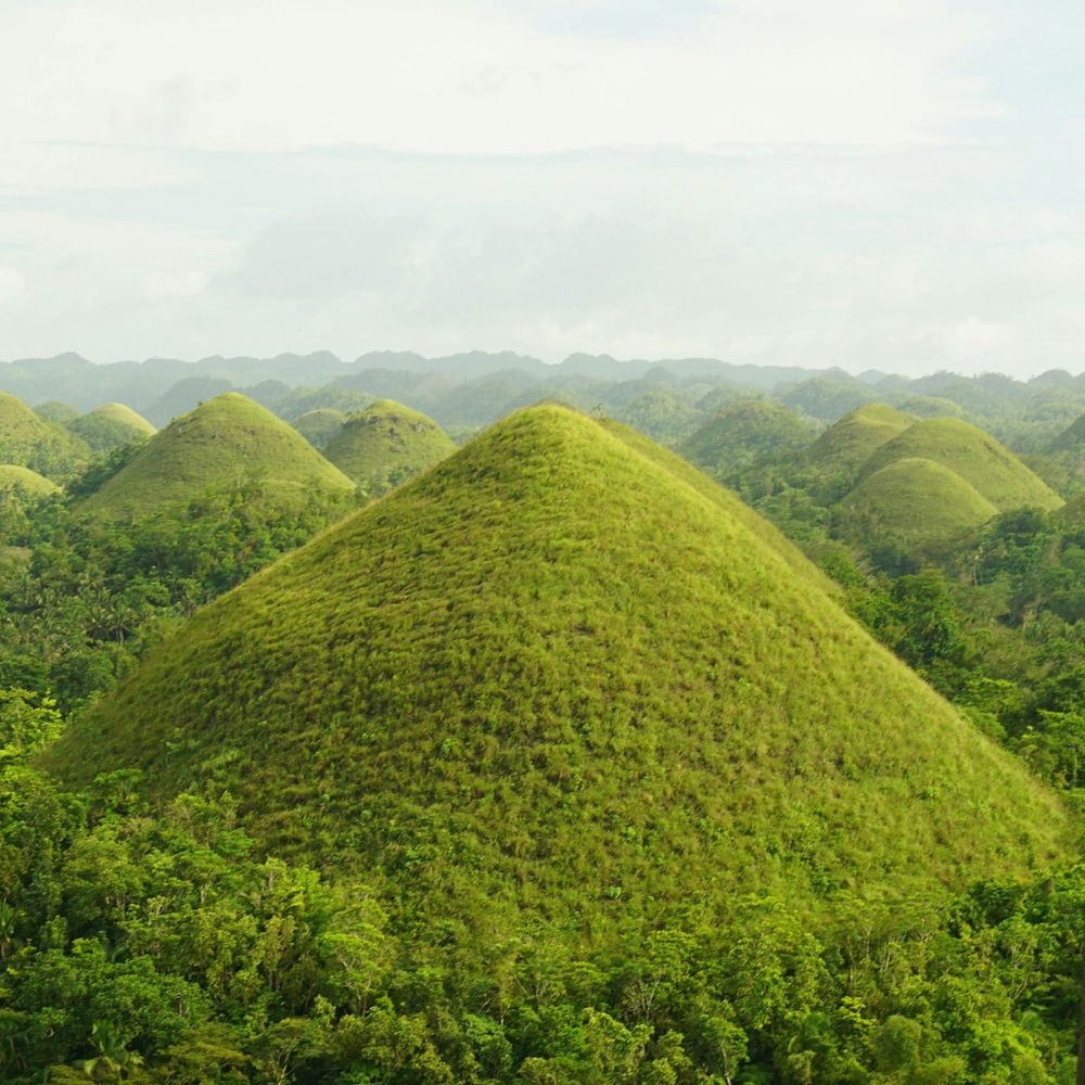 The green Chocolate Hills of Bohol under a soft morning sky